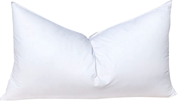 Organic Duck Feather Pillow Inserts